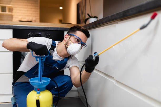 Best Affordable Pest Control Services  in Haskell, OK