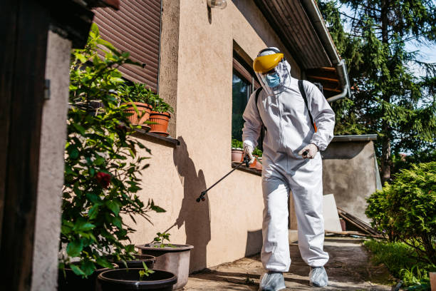 Best Flea Control Services  in Haskell, OK