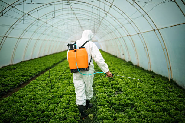 Professional Pest Control in Haskell, OK