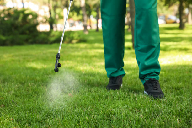 Best Pest Removal Services  in Haskell, OK
