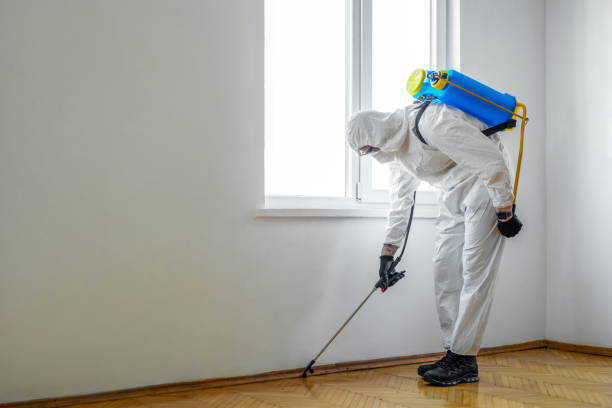 Best Wildlife Control Services  in Haskell, OK