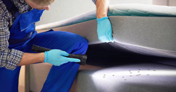 Best Best Pest Control Companies  in Haskell, OK