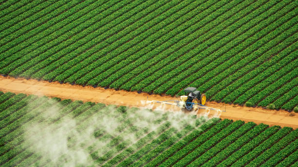 Best Ant Control Services  in Haskell, OK