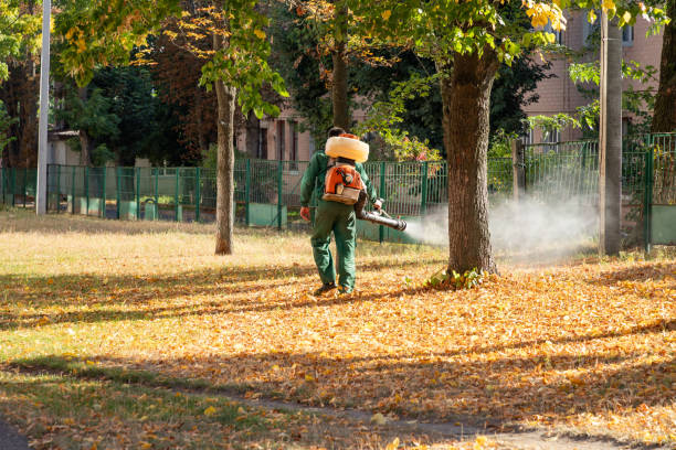 Best Exterminator Services  in Haskell, OK
