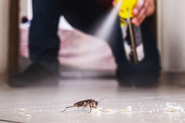 Best Residential Pest Control  in Haskell, OK