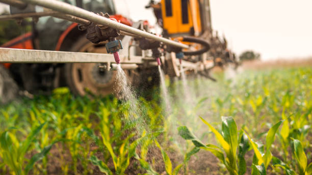 Best Pest Control for Homes  in Haskell, OK